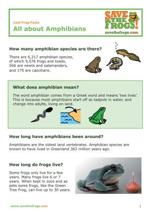 Cool Frog Facts.Indd