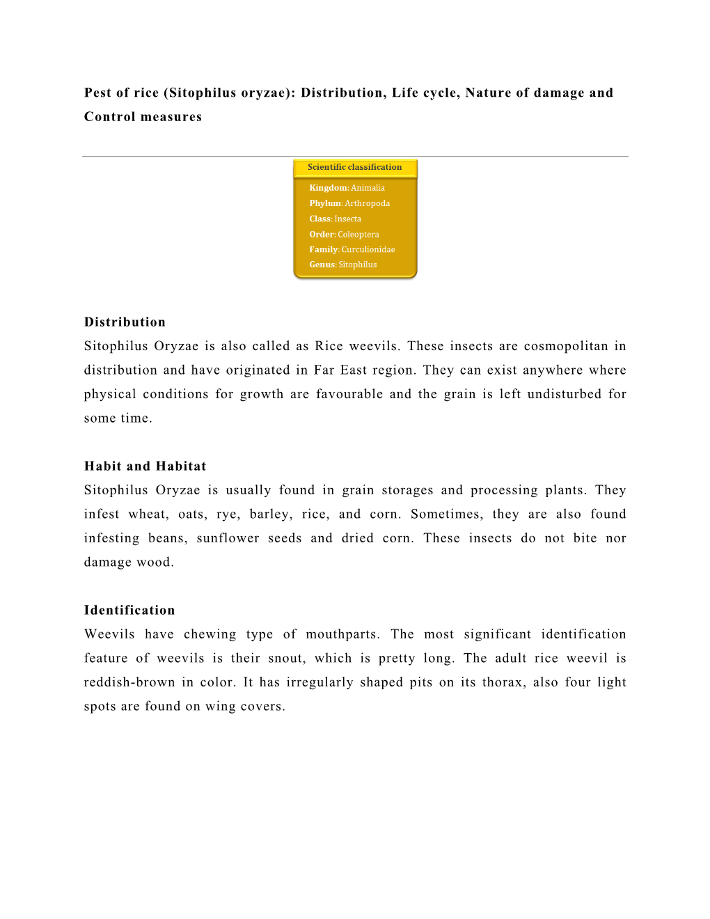 Sitophilus Oryzae): Distribution, Life Cycle, Nature of Damage and Control Measures