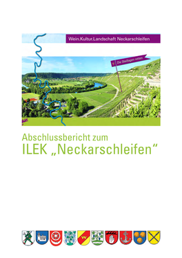 Abschlussbericht Zum ILEK „Neckarschleifen“