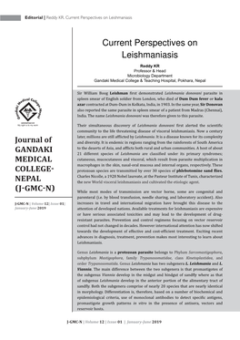 Current Perspectives on Leishmaniasis