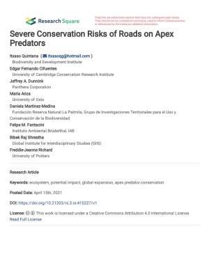 Severe Conservation Risks of Roads on Apex Predators