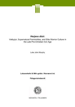 Herjans Dísir: Valkyrjur, Supernatural Femininities, and Elite Warrior Culture in the Late Pre-Christian Iron Age