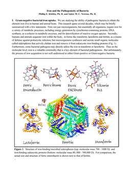 And Iron-Binding Eukaryotic Proteins (Bottom: Molecular Mass 80, 000 - 500,000 D)