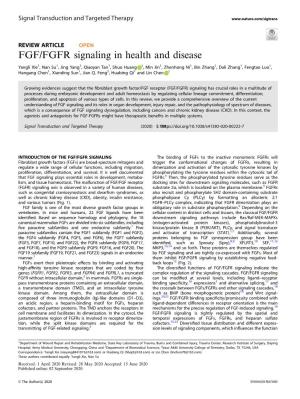 FGF/FGFR Signaling in Health and Disease