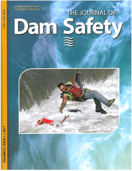 Hidden Dangers and Public Safety at Low-Head Dams Bruce A