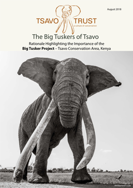 Rationale Highlighting the Importance of the Big Tusker Project – Tsavo Conservation Area, Kenya
