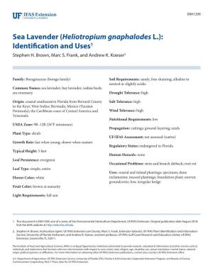 Sea Lavender (Heliotropium Gnaphalodes L.): Identification and Uses1 Stephen H