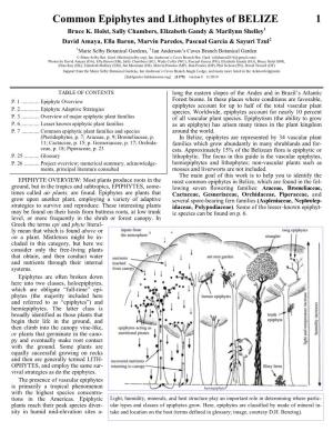 Common Epiphytes and Lithophytes of BELIZE 1 Bruce K