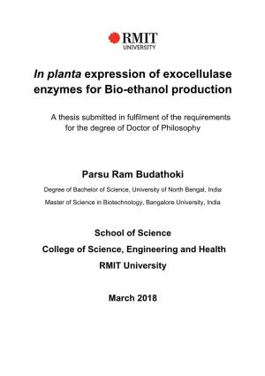 In Planta Expression of Exocellulase Enzymes for Bio-Ethanol Production