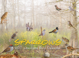 2011 Birding Calendar.Pdf