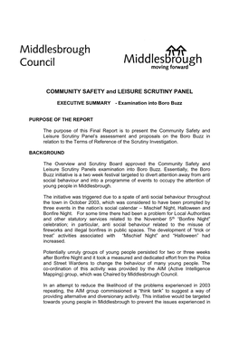 COMMUNITY SAFETY and LEISURE SCRUTINY PANEL