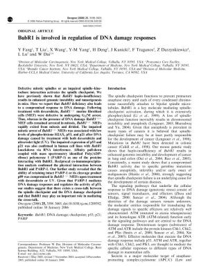 Bubr1 Is Involved in Regulation of DNA Damage Responses