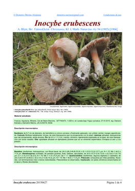 Inocybe Erubescens Inocybe Rimosae