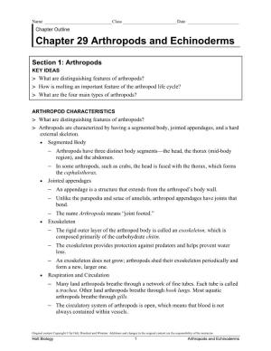 Chapter 29 Arthropods and Echinoderms