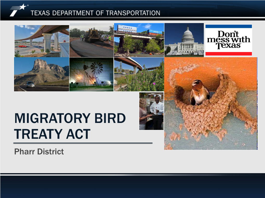 MIGRATORY BIRD TREATY ACT Pharr District