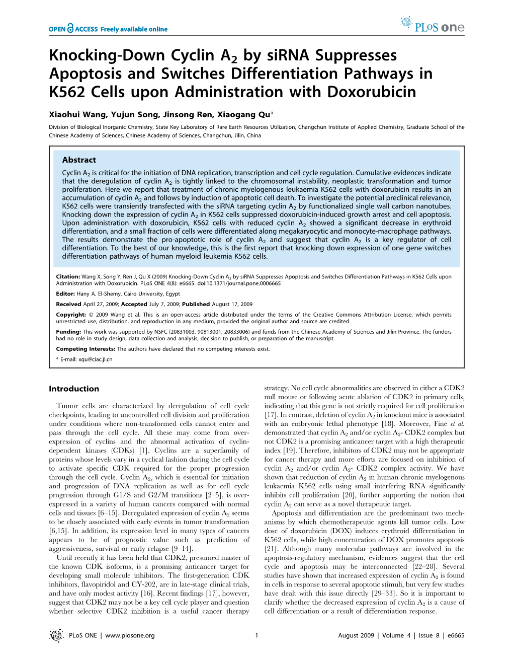 Knocking-Down Cyclin A2 by Sirna Suppresses Apoptosis and Switches Differentiation Pathways in K562 Cells Upon Administration with Doxorubicin