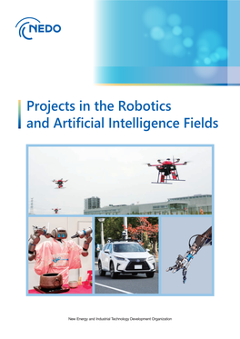 Projects in the Robotics and Artificial Intelligence Fields