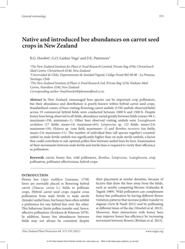 Native and Introduced Bee Abundances on Carrot Seed Crops in New Zealand