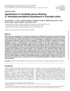 Identification of Candidate Genes Affecting D -Tetrahydrocannabinol