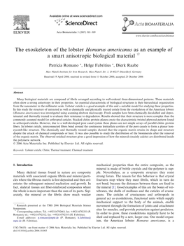 The Exoskeleton of the Lobster Homarus Americanus As an Example of a Smart Anisotropic Biological Material Q