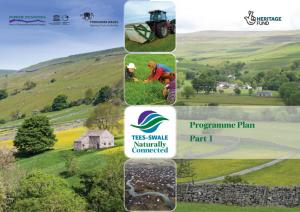 Tees-Swale Programme Plan Part 1 As Submitted