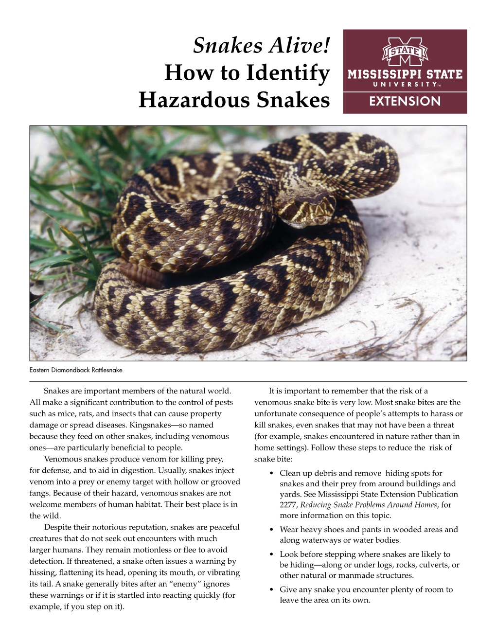 Snakes Alive! How to Identify Hazardous Snakes - DocsLib