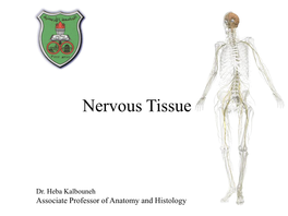 Nervous Tissue