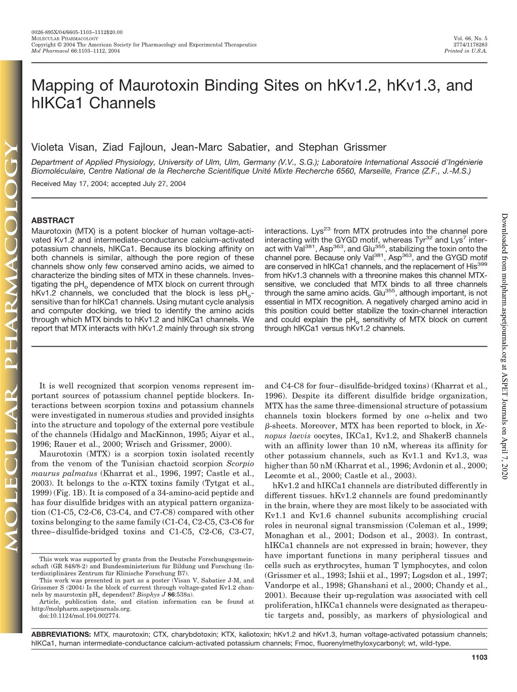 Mapping of Maurotoxin Binding Sites on Hkv1.2, Hkv1.3, and Hikca1 Channels