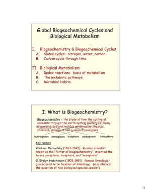Global Biogeochemical Cycles and Biological Metabolism I. What Is