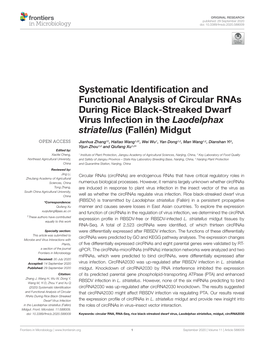 Systematic Identification and Functional Analysis of Circular
