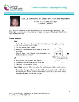 Cleft Lip and Palate: the Effects on Speech and Resonance Ann W