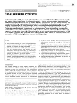 Renal Coloboma Syndrome