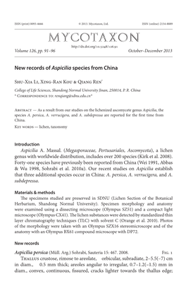 &lt;I&gt;Aspicilia&lt;/I&gt; Species from China
