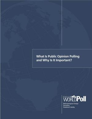 What Is Public Opinion Polling and Why Is It Important?