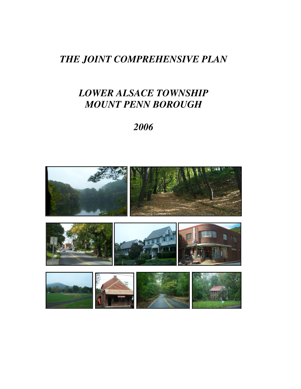 The Joint Comprehensive Plan Lower Alsace Township