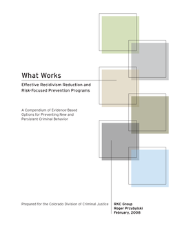 What Works Effective Recidivism Reduction and Risk-Focused Prevention Programs