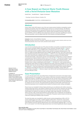 A Case Report on Charcot-Marie-Tooth Disease with a Novel Periaxin Gene Mutation