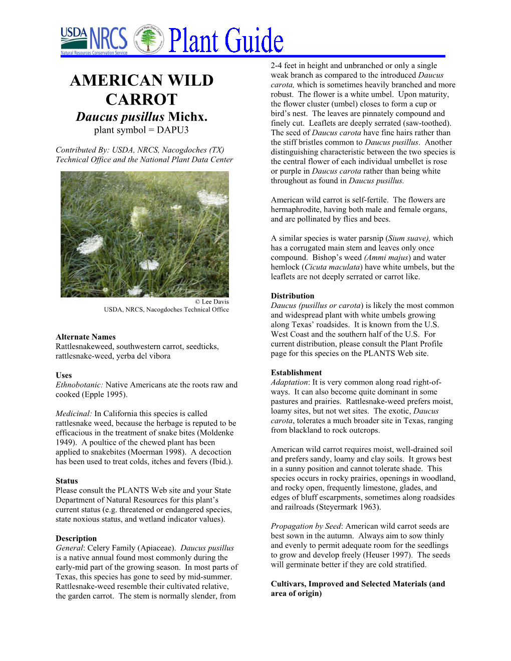 American Wild Carrot Is Self-Fertile