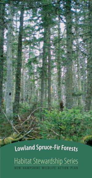 Lowland Spruce-Fir Forests