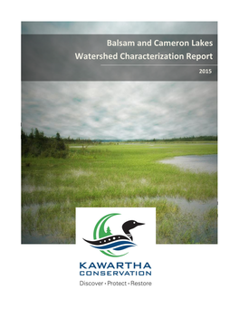 Balsam Lake and Cameron Lake Watershed Characterization Report