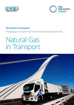 Natural Gas in Transport Gas Networks Ireland Commitment