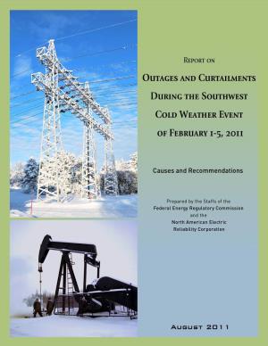 Report on Outages and Curtailments During the Southwest Cold Weather Event of February 1-5, 2011