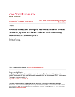 Molecular Interactions Among the Intermediate Filament Proteins Paranemin, Synemin and Desmin and Their Localization During Skeletal Muscle Cell Development