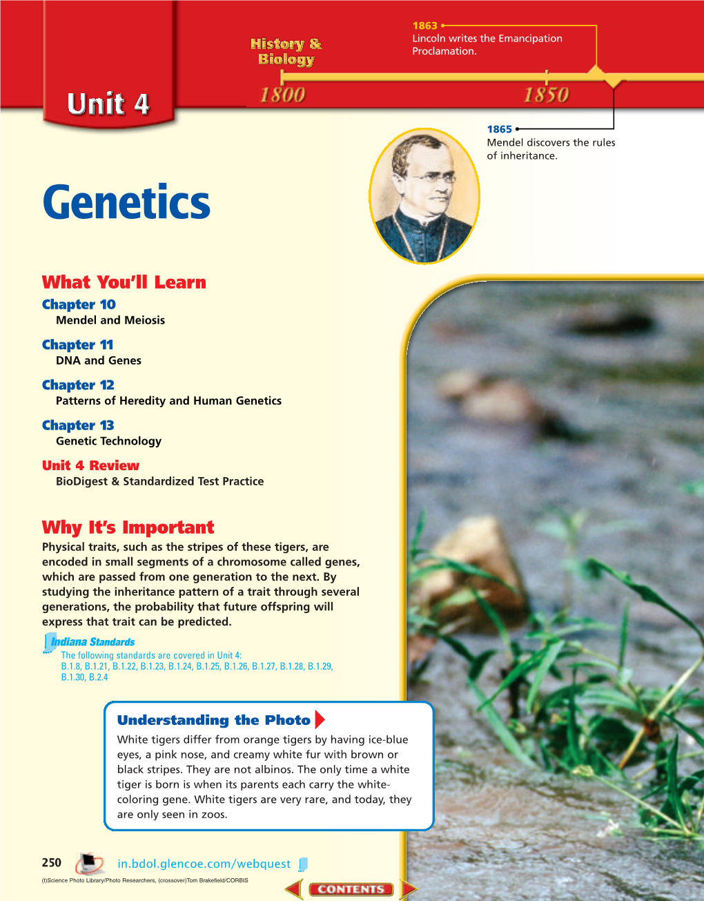 Chapter 10: Mendel and Meiosis