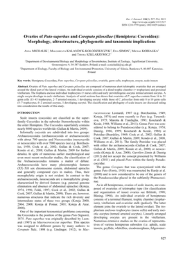 Hemiptera: Coccoidea): Morphology, Ultrastructure, Phylogenetic and Taxonomic Implications