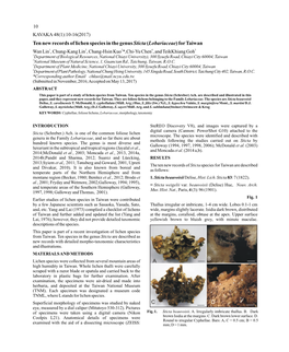 Ten New Records of Lichen Species in the Genus Sticta (Lobariaceae) For
