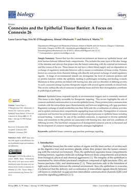 Connexins and the Epithelial Tissue Barrier: a Focus on Connexin 26