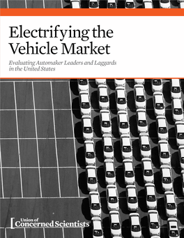 Electrifying Vehicle Market