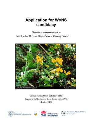 Genista Monspessulana – Montpellier Broom, Cape Broom, Canary Broom