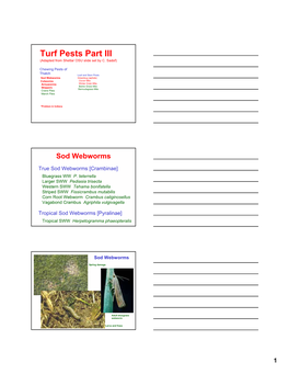 Turf Pests Part III Turf Pests Part III (Adapted from Shetlar OSU Slide Set by C